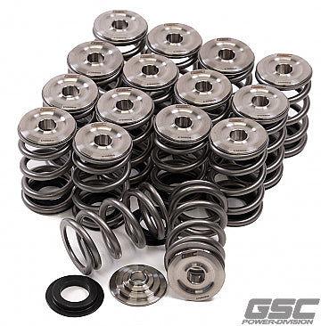 GSC P-D 3SGTE Spring and Titanium Retainer Kit for Shim Under Bucket