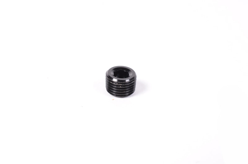 Radium Engineering 1/8in NPT Plug 14-0172