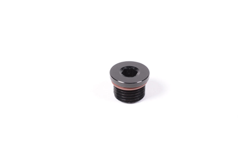 Radium Engineering 6AN ORB Plug 14-0149