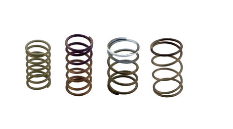 Wastegate Federn