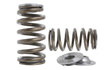 KVS56-BT | VK56 Beehive Springs