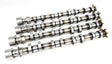 GT-256-TB | Coyote Gen 2 with Voodoo Heads