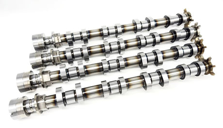 GT-256-TB | Coyote Gen 2 with Voodoo Heads