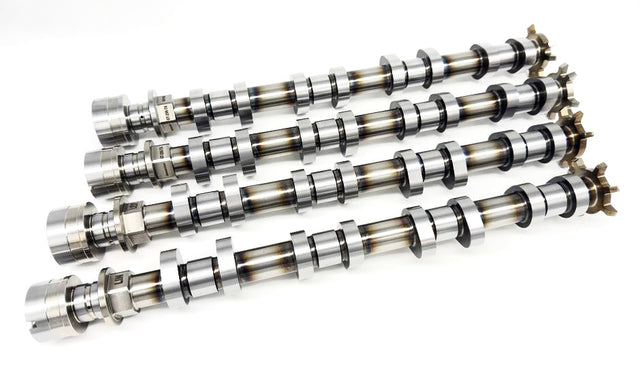 GT-256-TB | Coyote Gen 2 with Voodoo Heads