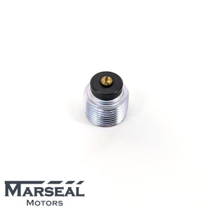 Verschlussschraube Hinterachsdifferential - 383375200