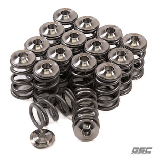 GSC Honda B-Series Vtec Dual Spring and Ti Retainer Kit