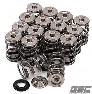 GSC P-D 3SGTE Spring and Titanium Retainer Kit for Shim Under Bucket