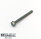 Bolt AVCS Valve Exhaust Left - 800606660