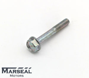 Schraube AVCS Ventil Auslass Rechts - 808106480