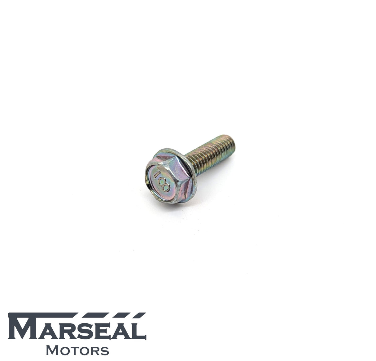 Schraube Steuerkettenspanner BRZ - 808206030