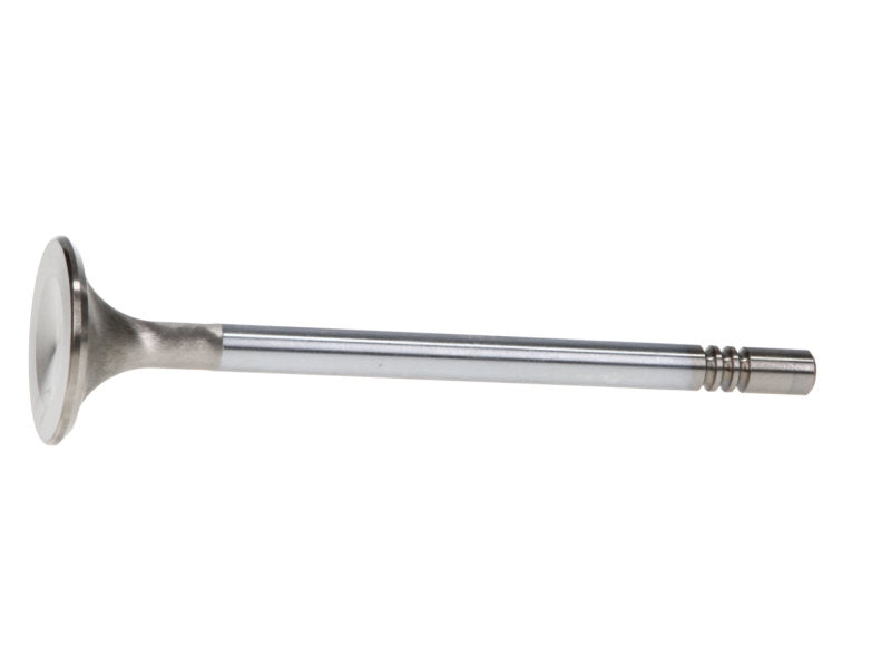 Manley Ford Coyote 5.0L DOHC 4 Valve 31mm Triple Groove Race Master Exhaust Valves (Set of 8) 11623-8