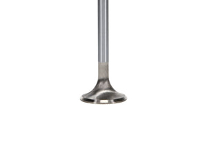 Manley Ford Coyote 5.0L DOHC 4 Valve 31mm Triple Groove Race Master Exhaust Valves (Set of 8) 11623-8