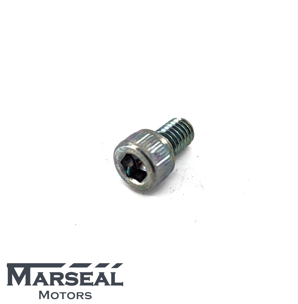 Schraube ABS-Ring - 901120077