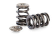 KVS87-DT | FA20F Dual Springs