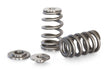 KVS79-KX | Honda K20A Beehive Springs