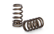 KVS17-X | L3 2.3 DISI High RPM Beehive Springs