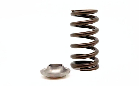 KVS99 | Harley V-Rod Beehive Springs