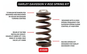 KVS99 | Harley V-Rod Beehive Springs