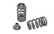 KVS236-BT | Rotax 900 ACE Beehive Springs