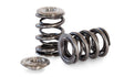 KVS226-T | RB30E Dual Valve Springs