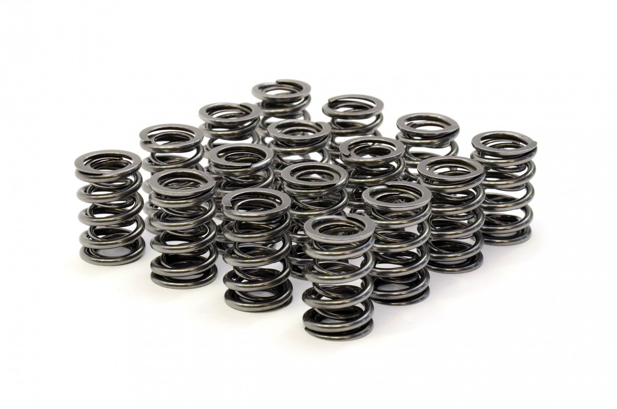 RCM Double Valve Spring Set