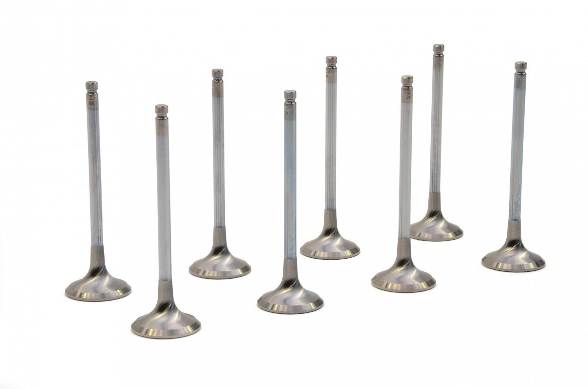 RCM Uprated Version 5+ Exhaust Valve Set