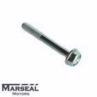 Bolt Water Pump - 800106930