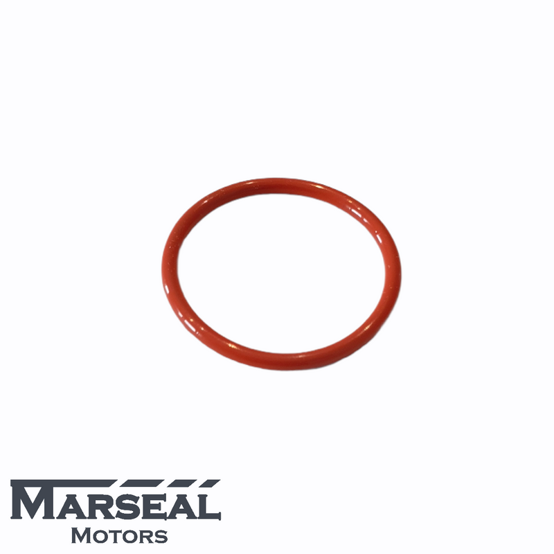 O-Ring Motorblock Wasserkanal - 806932030