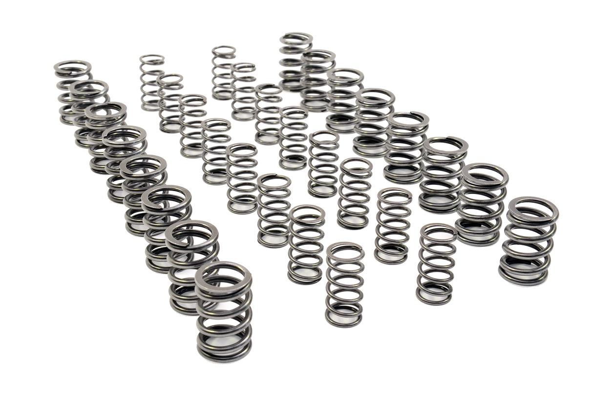 RCM Double Valve Spring Set