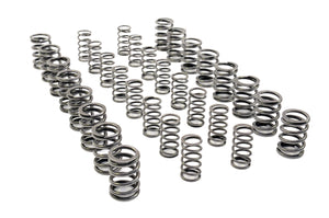 RCM Double Valve Spring Set