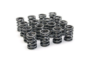 RCM Double Valve Spring Set