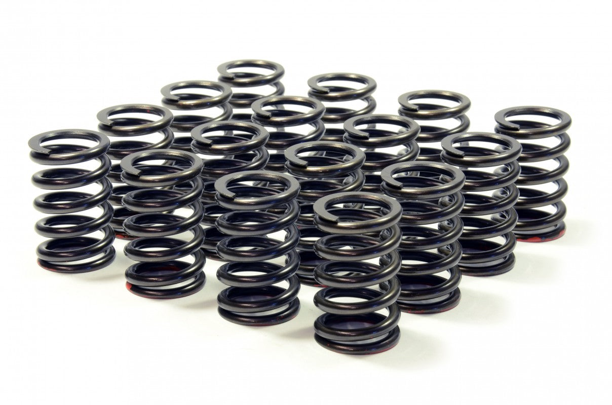 RCM V5/6 Uprated Valve Springs